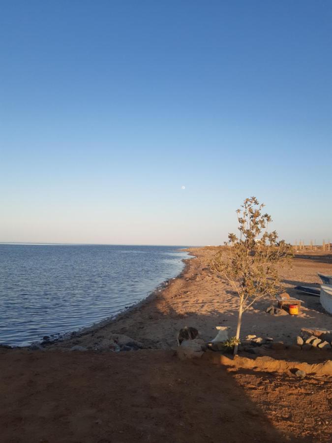 Вилла Coral Paradise Safaga Bagian luar foto